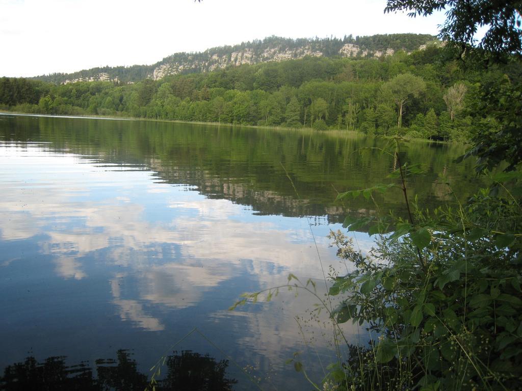 Auberge Du Herisson La Chaux-du-Dombief Екстер'єр фото